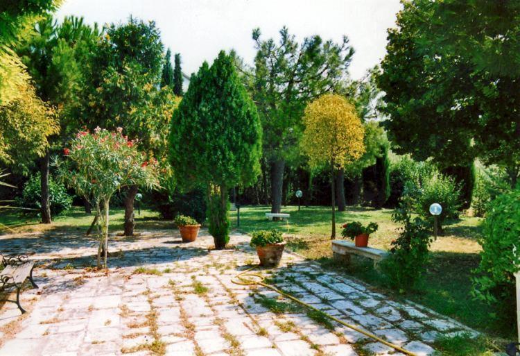 Bed&Breakfast Giardino Agritourist Controguerra Ngoại thất bức ảnh